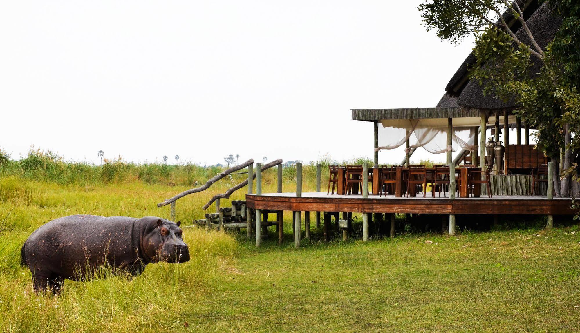 Selinda Reserve Selinda Camp酒店 外观 照片