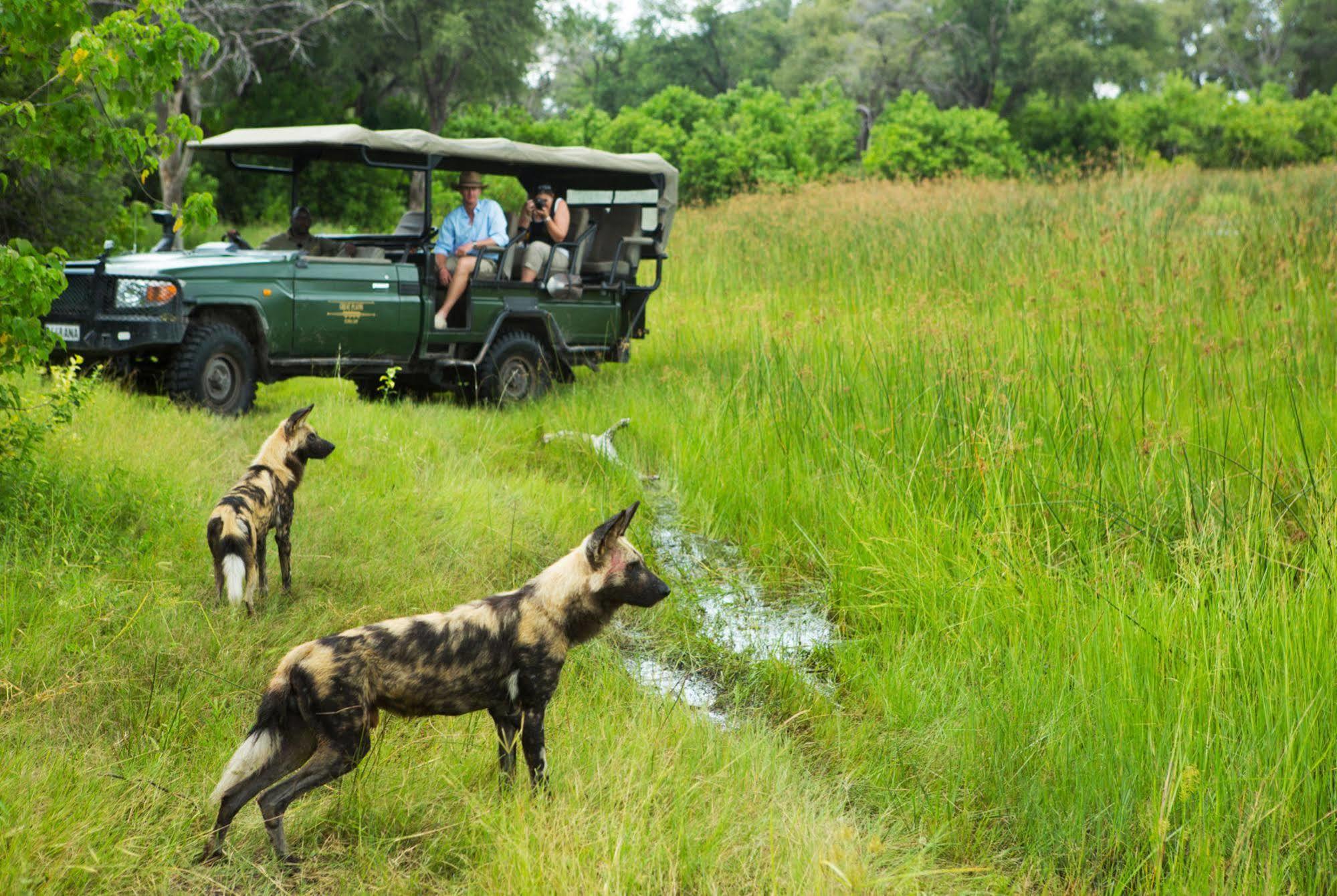 Selinda Reserve Selinda Camp酒店 外观 照片